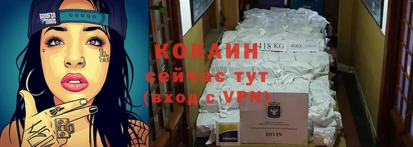 гашик Россошь