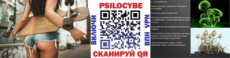 Галлюциногенные грибы GOLDEN TEACHER  цены   Бирюч 